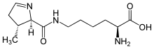 Pyrrolysine.svg