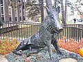 On the University of Waterloo campus