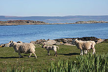 View to Gigalum Island.jpg