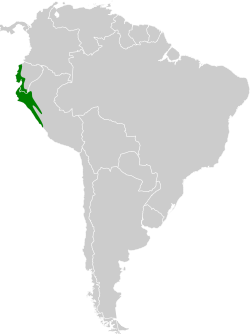 Distribución geográfica del tiranuelo caripardo.