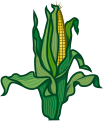 Maize by Pitke