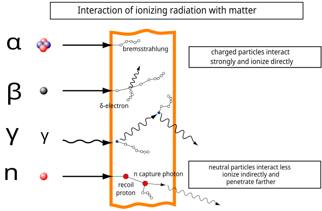 File:Strahlenarten en.svg