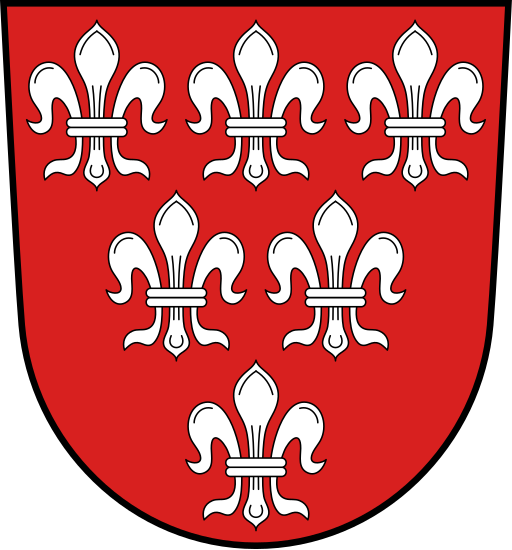 Файл:Wappen Sulzbach Rosenberg.svg