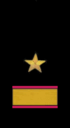 нарукавный знак ВМФ