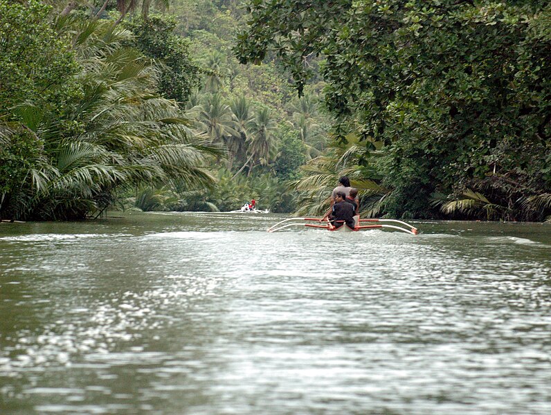 File:Abatan near balilihan.jpg