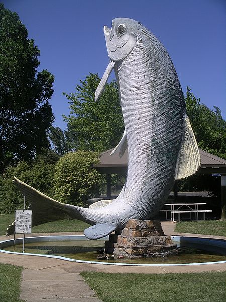 File:Adaminaby big trout.jpg