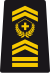 WO-4 - Chief warrant officer