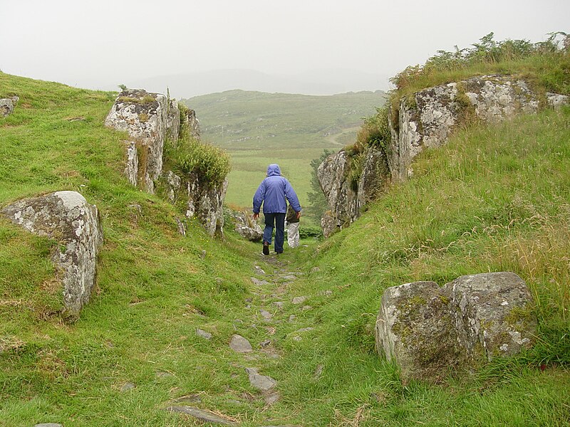 File:Dunadd-Hillfort-CarvedPathway.JPG