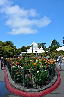 Dahlia Garden