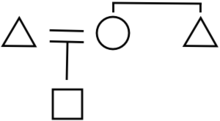 Kinship atome in alliance theory, empty background, bold line, for kinship use.