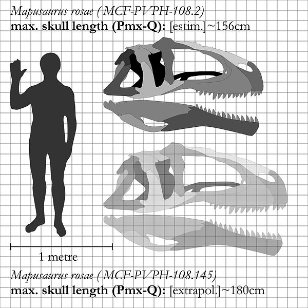 File:Mapusaurus-skull-comparison.jpg