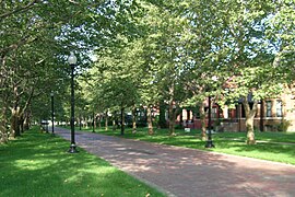 Homes on Pallister, a pedestrian only street in this block.