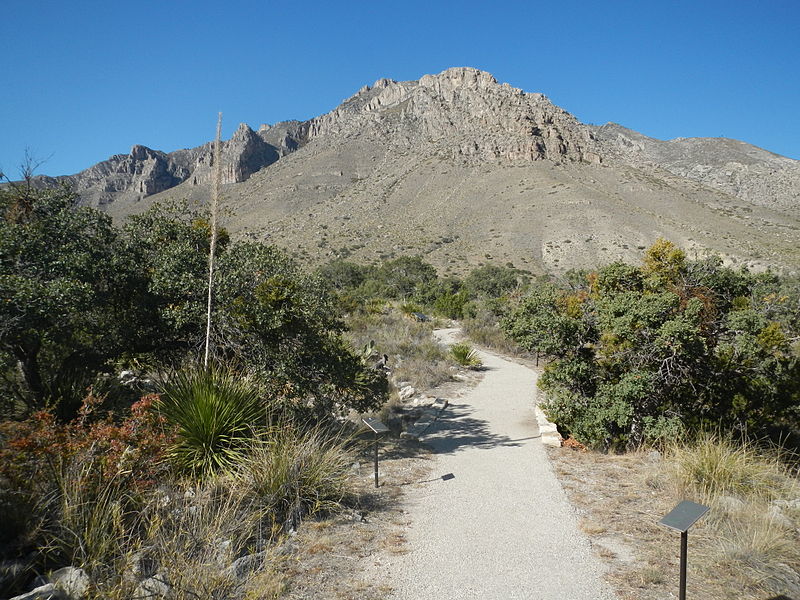 File:Pinery Trail 3.JPG