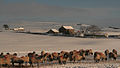 Scurfield House near to Stanhope, County Durham (Winter)