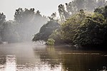 Thumbnail for Bhitarkanika National Park