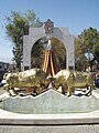 Traditional Bulls fighting