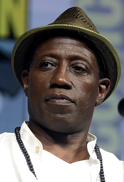 File:Wesley Snipes (41969097750) (cropped).jpg