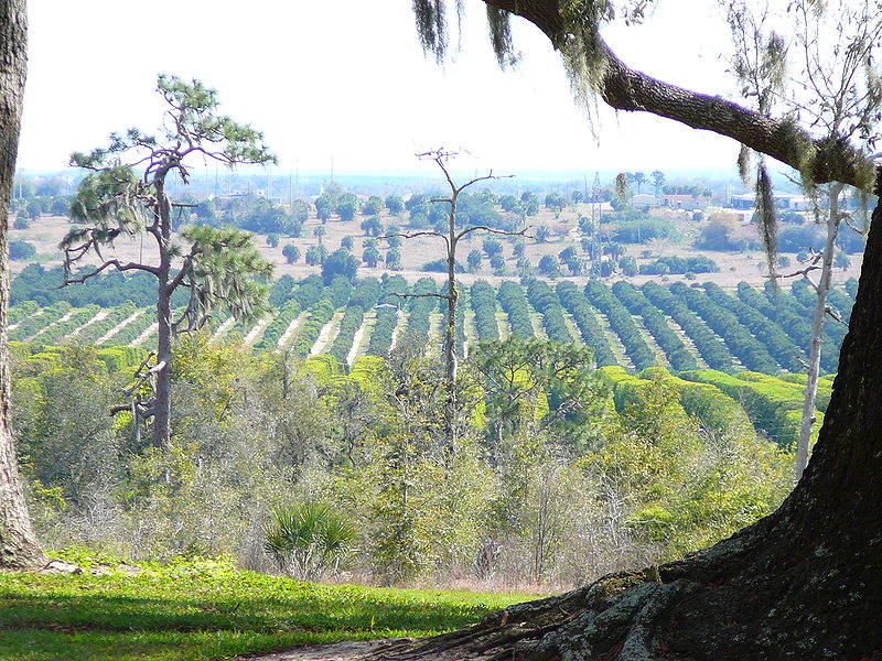 File:Bok Tower view.JPG