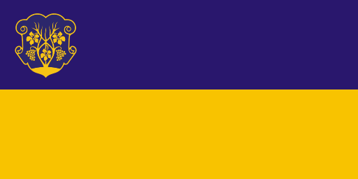 Файл:Flag of Uzhhorod.svg