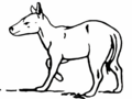 Lambdotherium popoagicum