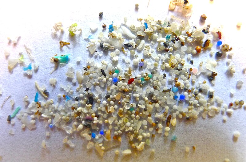 File:Microplastic.jpg