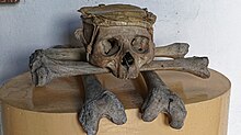 A human skull sitting atop several other human bones in a museum display.