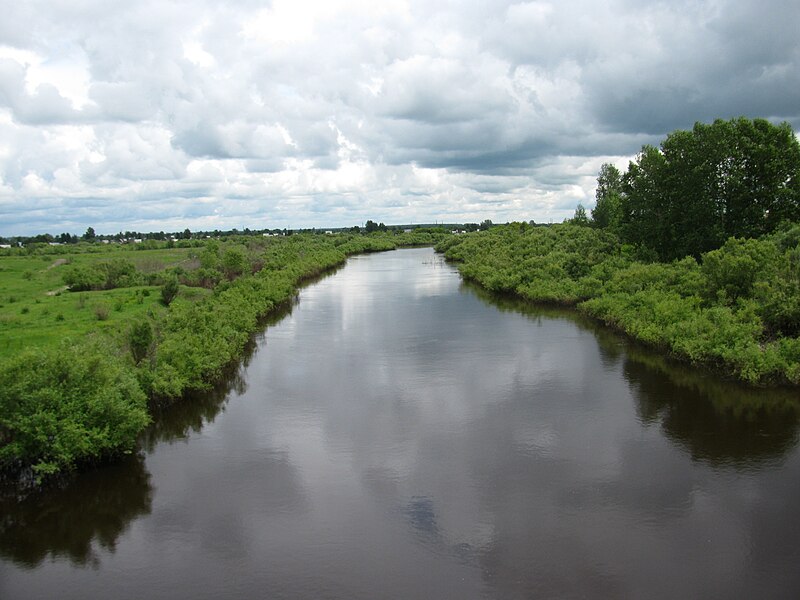 Файл:OM river summer 2010.JPG