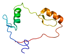 Protein CTCF PDB 1x6h.png