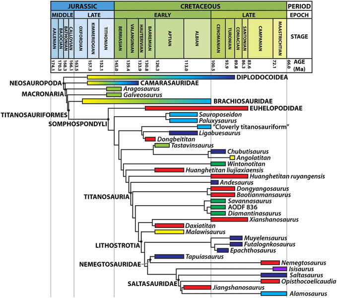 File:Savannasaurus-fig7-phylogeny.png