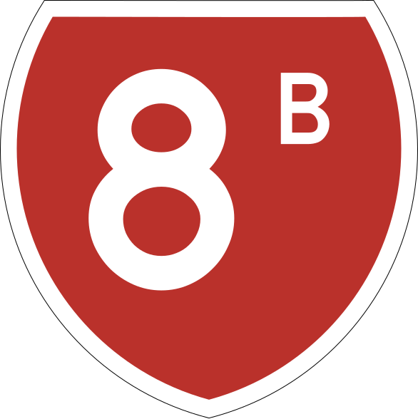 File:State Highway 8b NZ.svg