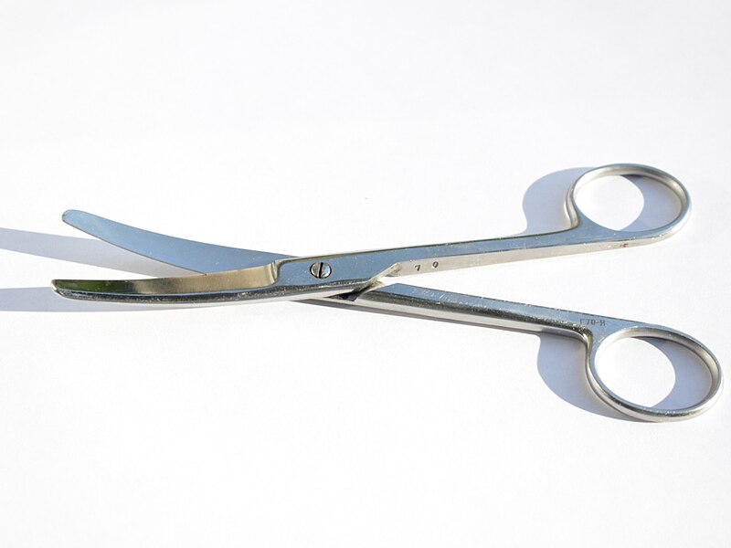 Файл:Surgical Scissors, curved.jpg