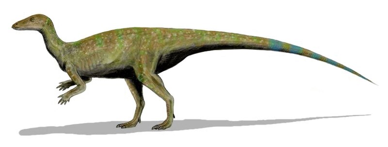 File:Thescelosaurus BW3.jpg