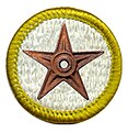 I, Rlevse, award this Scouting Barnstar to Jergen for his great contributions to Scouting related articles, especially in the area of non-English speaking countries.