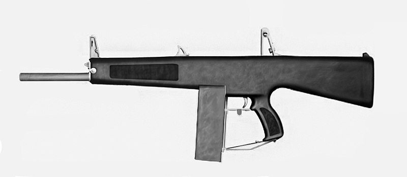 File:AA-12.jpg