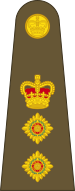 Файл:British Army OF-5.svg