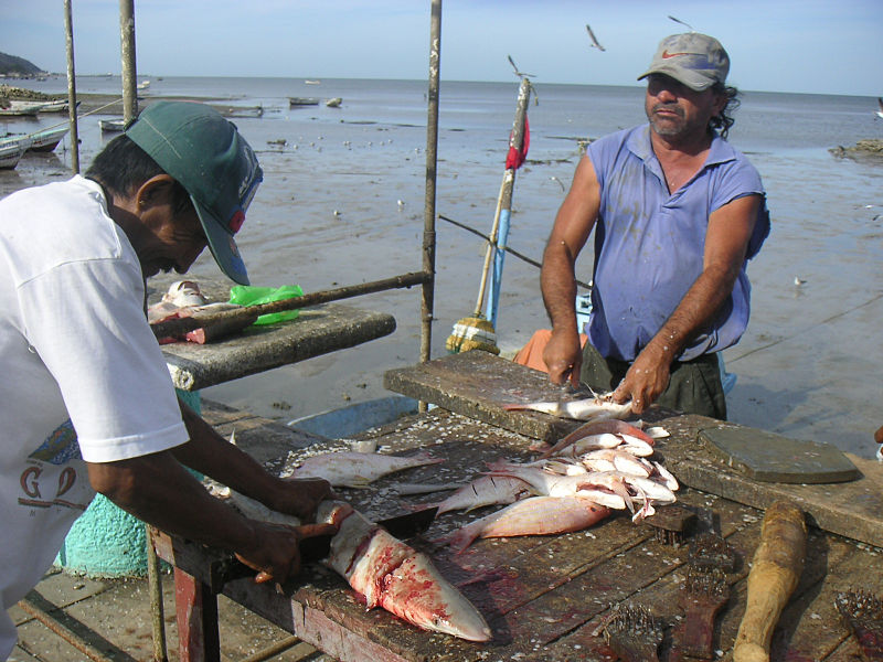 File:CampecheFishermen.jpg