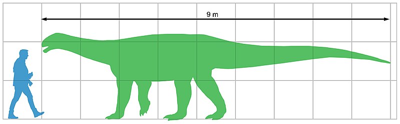 File:Ingentia size diagram.jpg