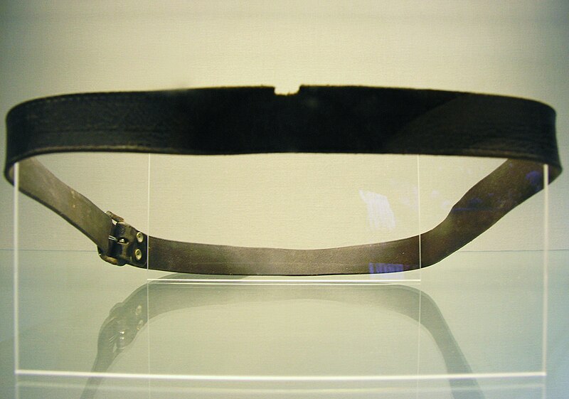 File:Patrick Doherty Belt.jpg