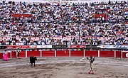 Crowd watches a bullfight in Mexico, 2010.