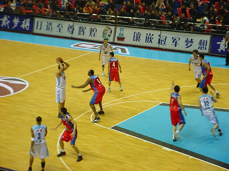 Файл:Beijing Ducks at play.jpg