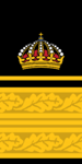 Assistant Police Director (Deputy regional Police Chief, Deputy department Chief, or after special appointment) (Biträdande polisdirektör)