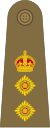 Colonel