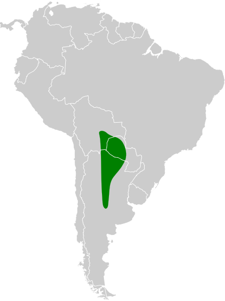 File:Chunga burmeisteri map.svg