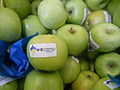 Apple, a symbol of EdCamp