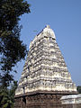 The Raja Gopuram of Jalakandeswarar Temple, Vellore