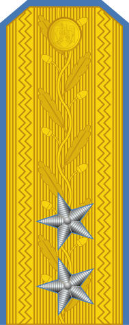 File:Romania-AirForce-OF-7.svg