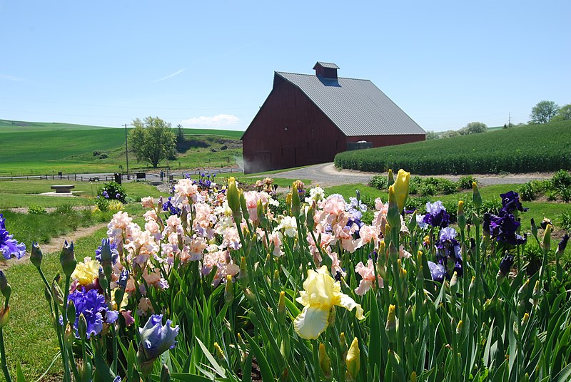 File:UIArboretum.jpg