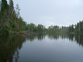 Вид на озеро Удсу летом 2007 года