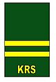 Warrant Officer 2