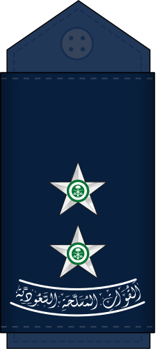 File:09.RSAF-1LT.svg